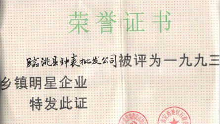 1993年度鄉鎮明星企業(yè)
