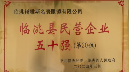 2023年度臨洮縣民營(yíng)企業(yè)50強